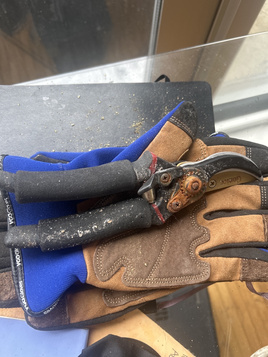 Gardening Gloves & Gorica Pruning Shears