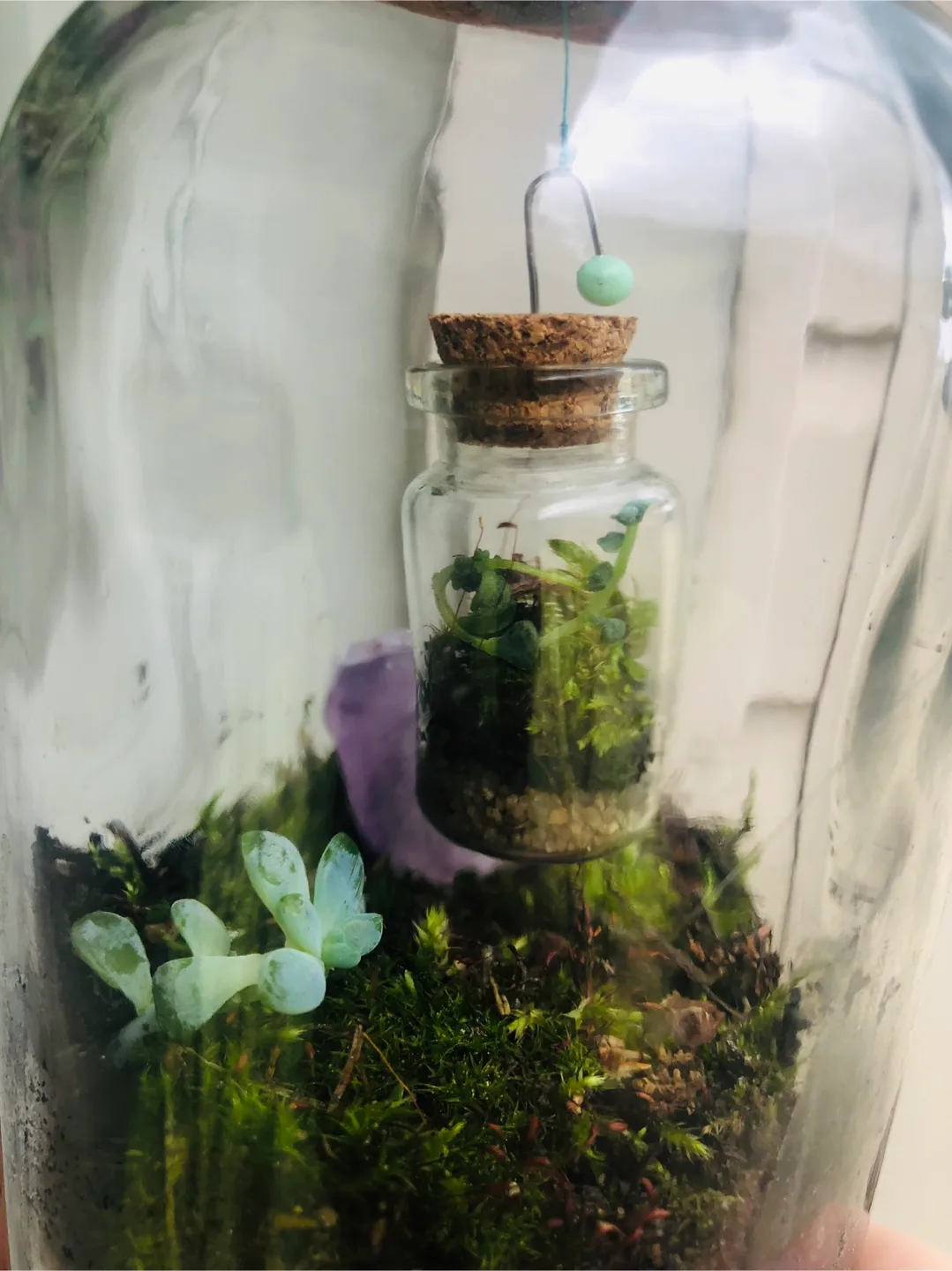 NEW Terrarium Inception: Mini Terrarium inside Terrarium!! thumbnail