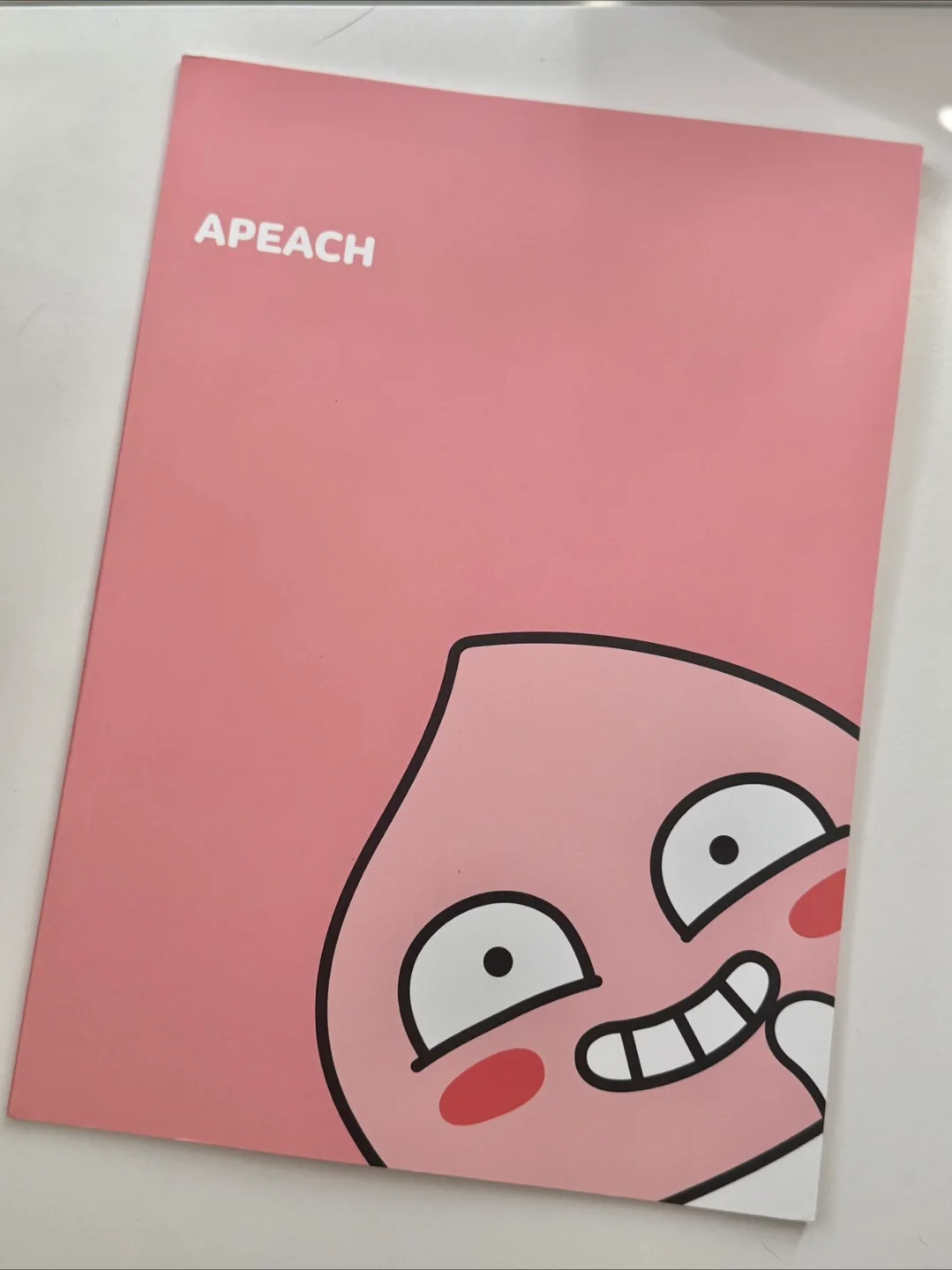 12 NEW mixed Korean notebooks image indicator(3)