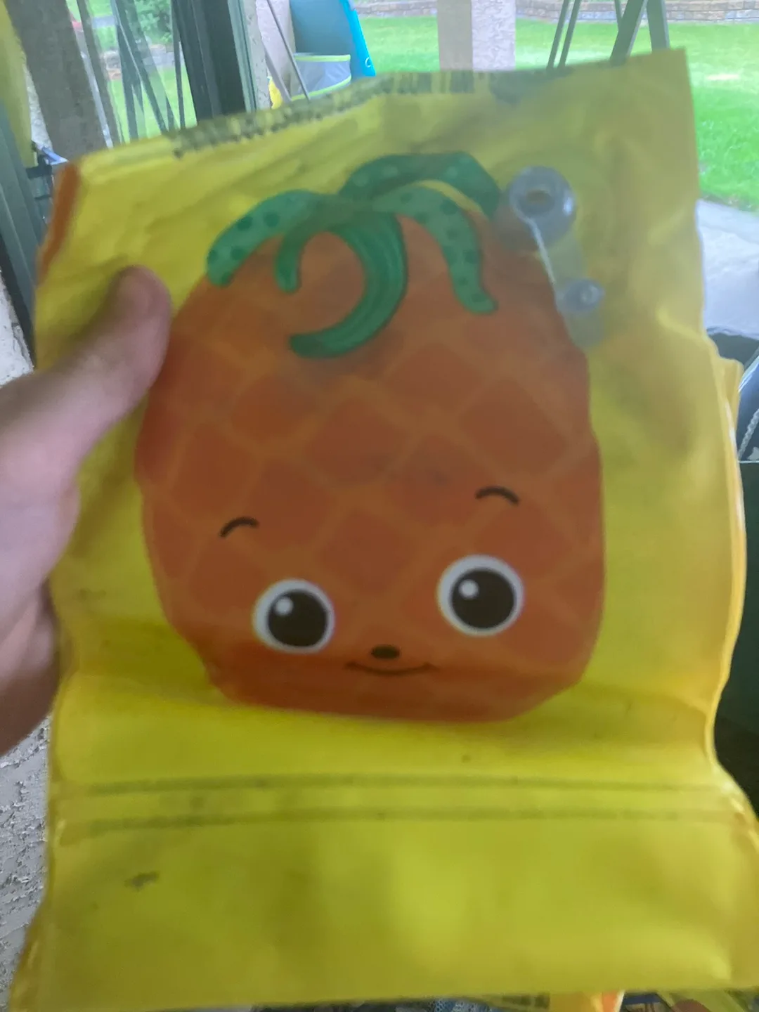 Pineapple Arm Floats thumbnail