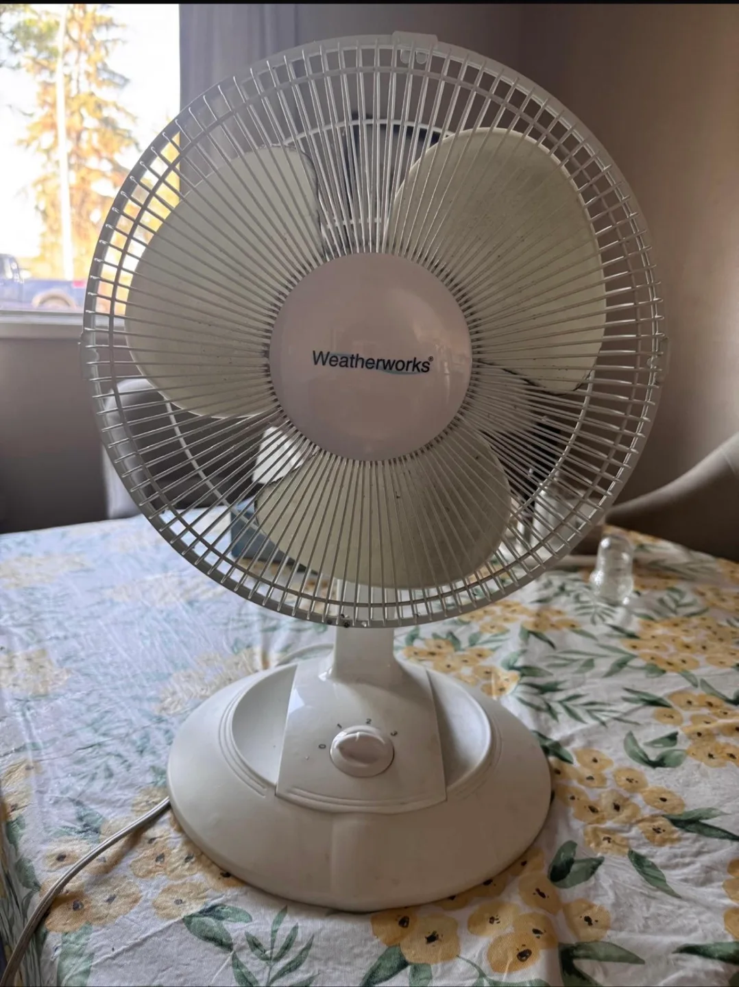 Weatherworks Table Fan thumbnail