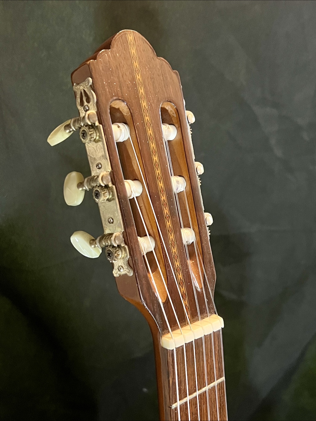 Ibanez Classical with case - photo 5