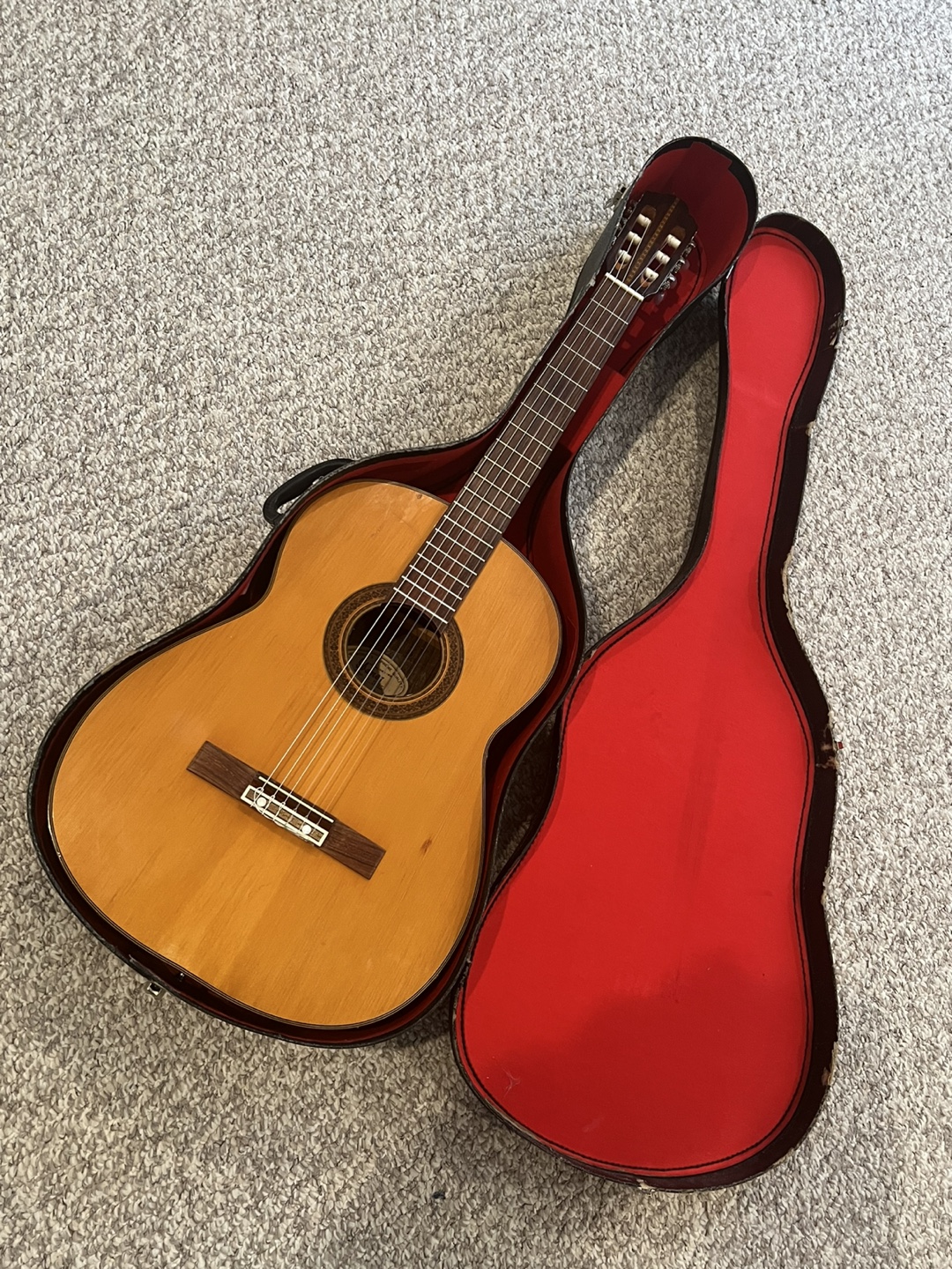 Ibanez Classical with case