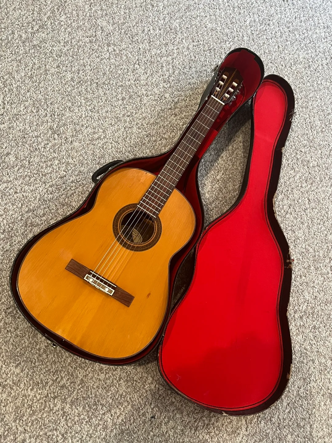 Ibanez Classical with case