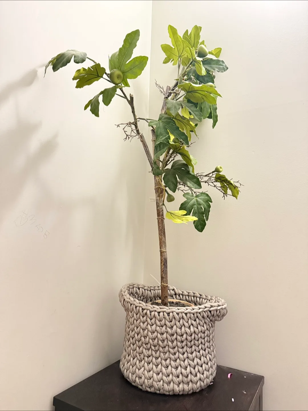 Artificial Fig Tree in Woven Basket thumbnail