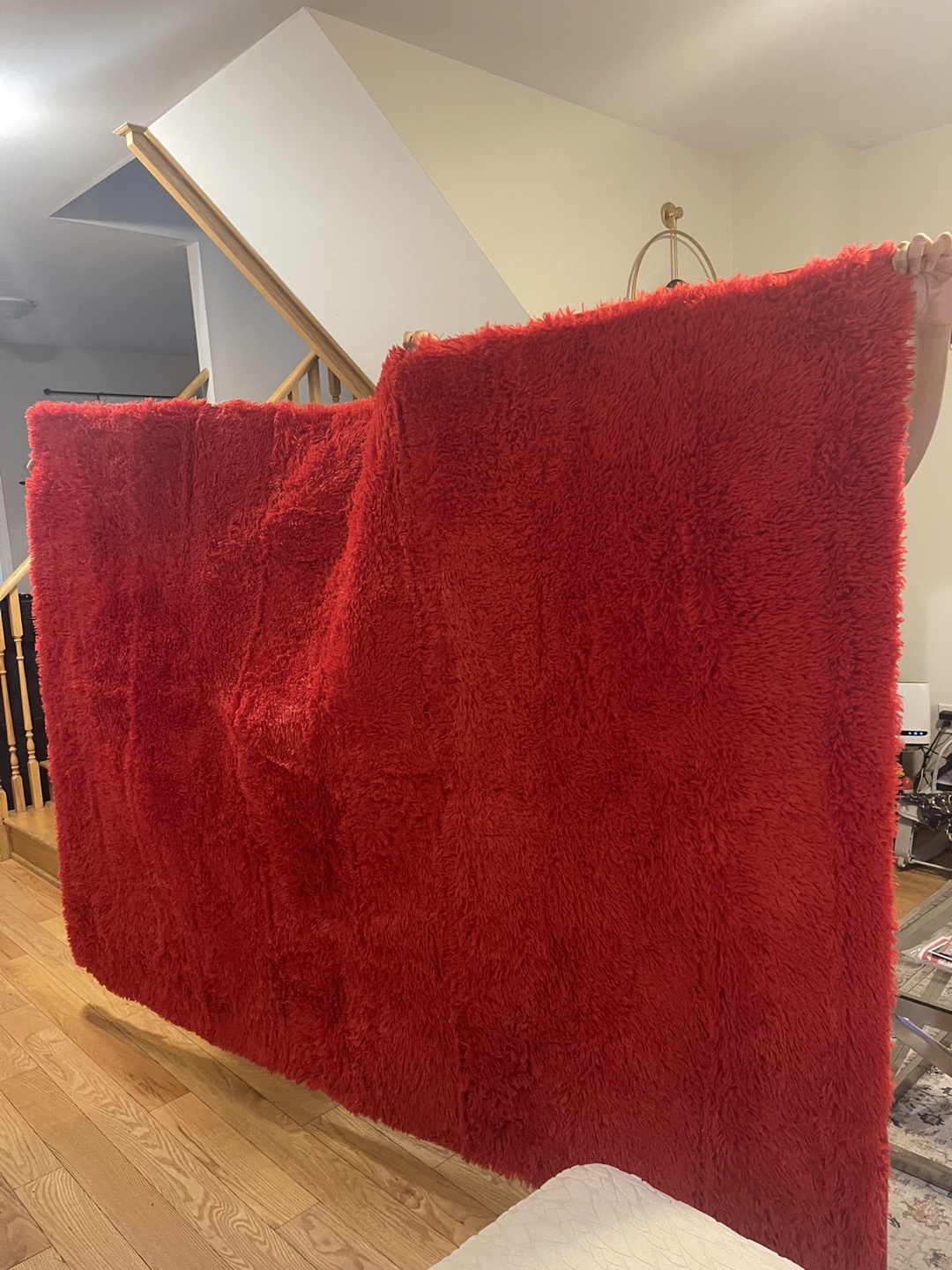 Red Shag Rug 8/5