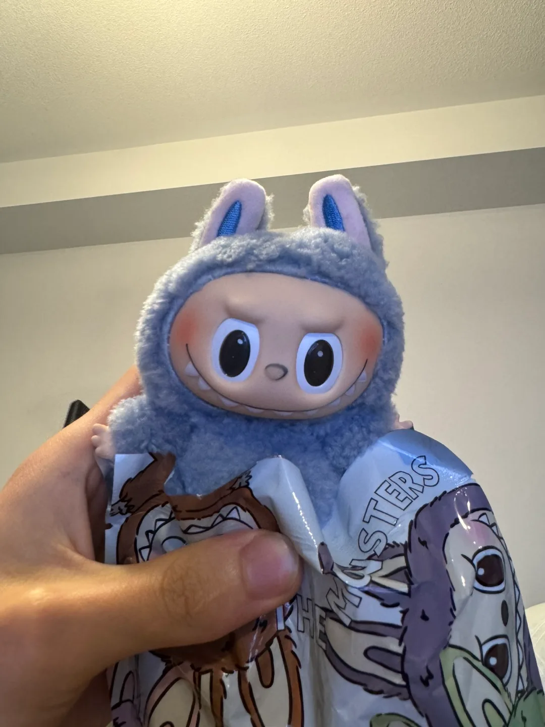 Labubu image indicator(6)