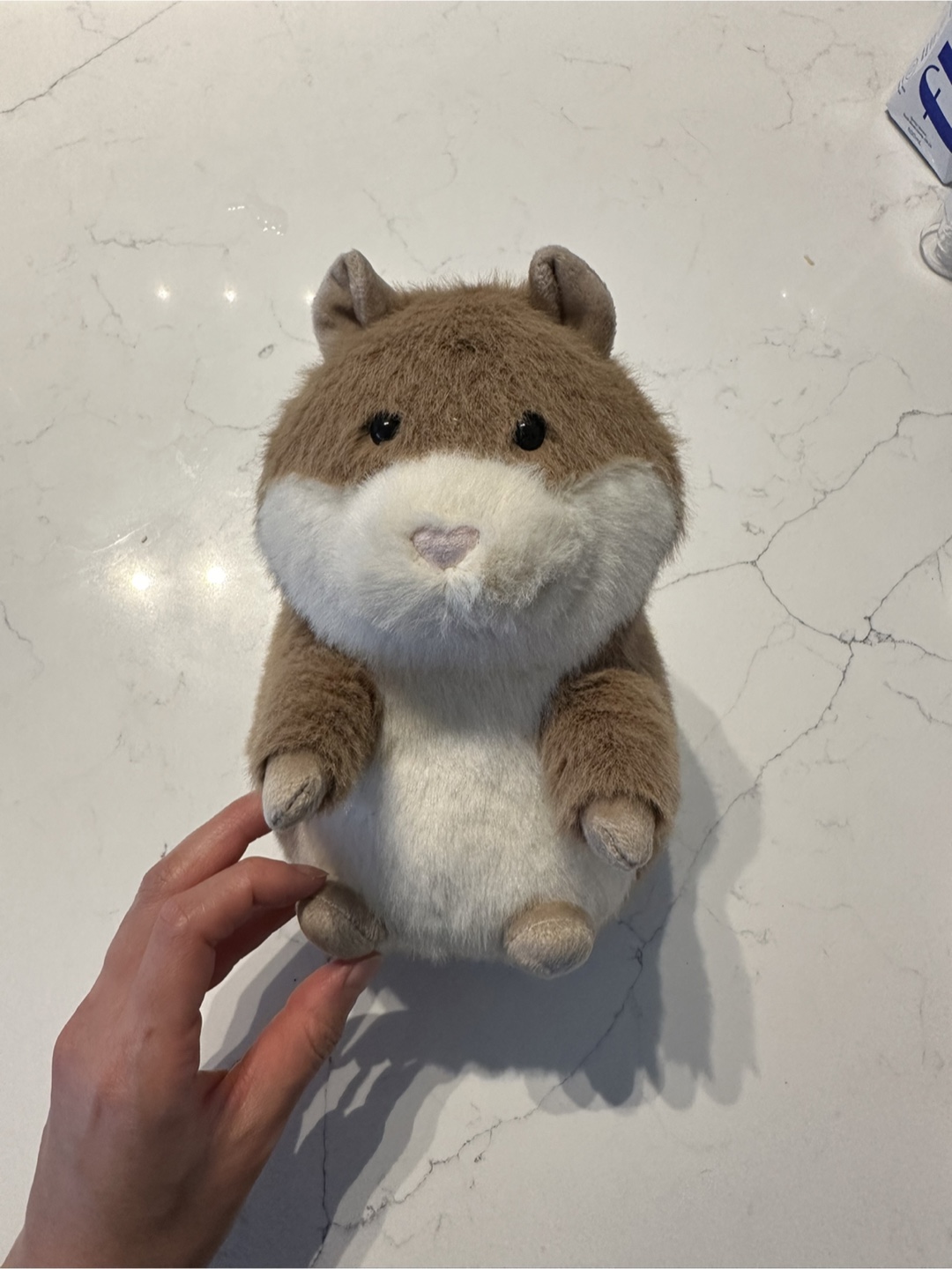 BNWT Jellycat Gordy Guinea Pig