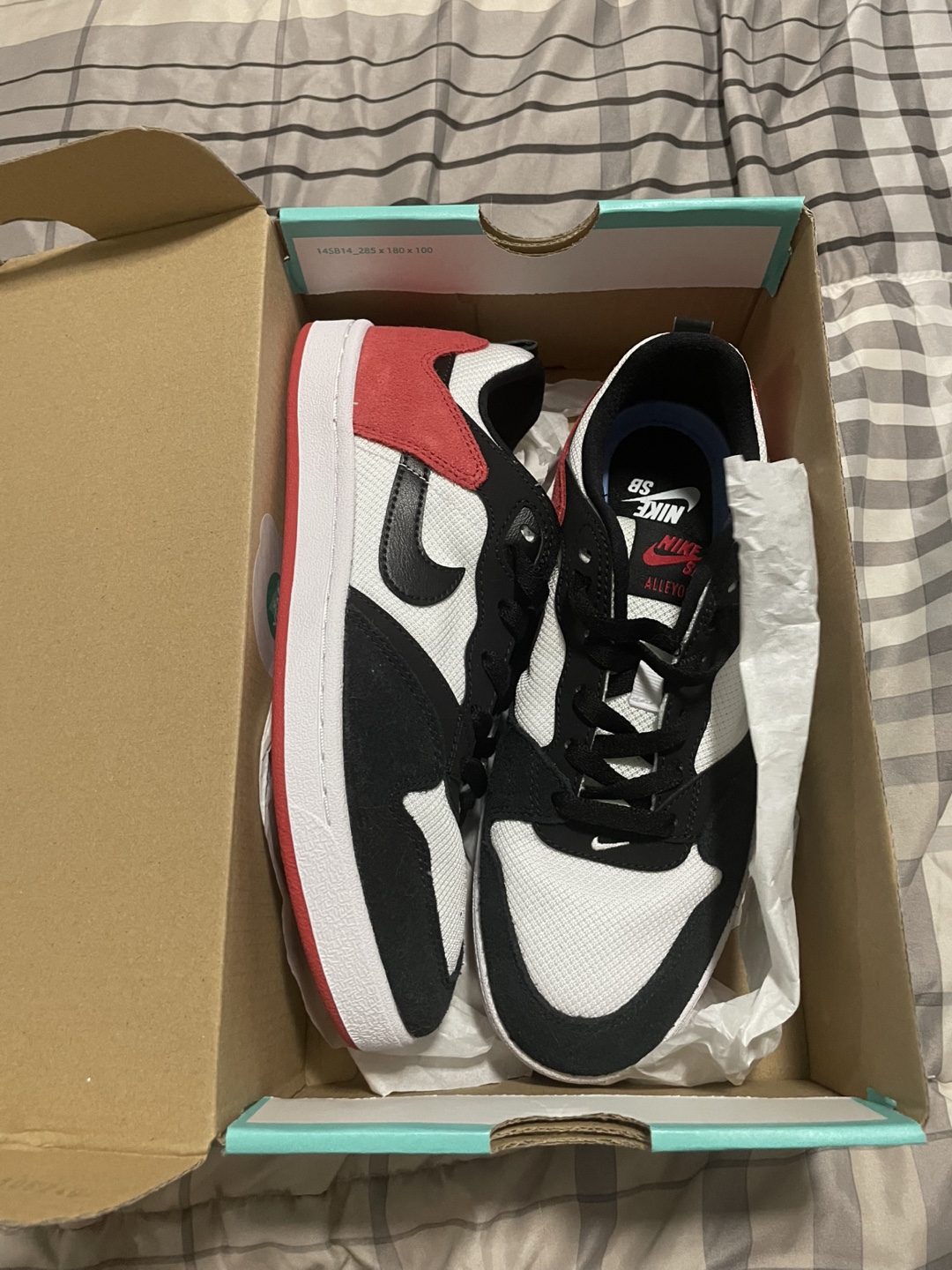 Nike SB Alleyoop (GS) Size 6Y