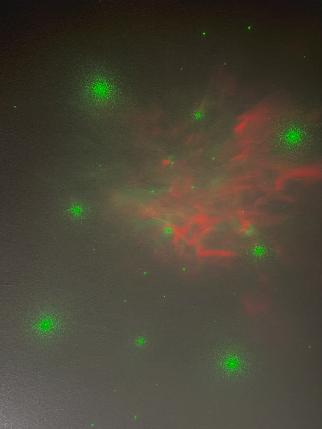 Astronaut Projector Light image indicator(9)