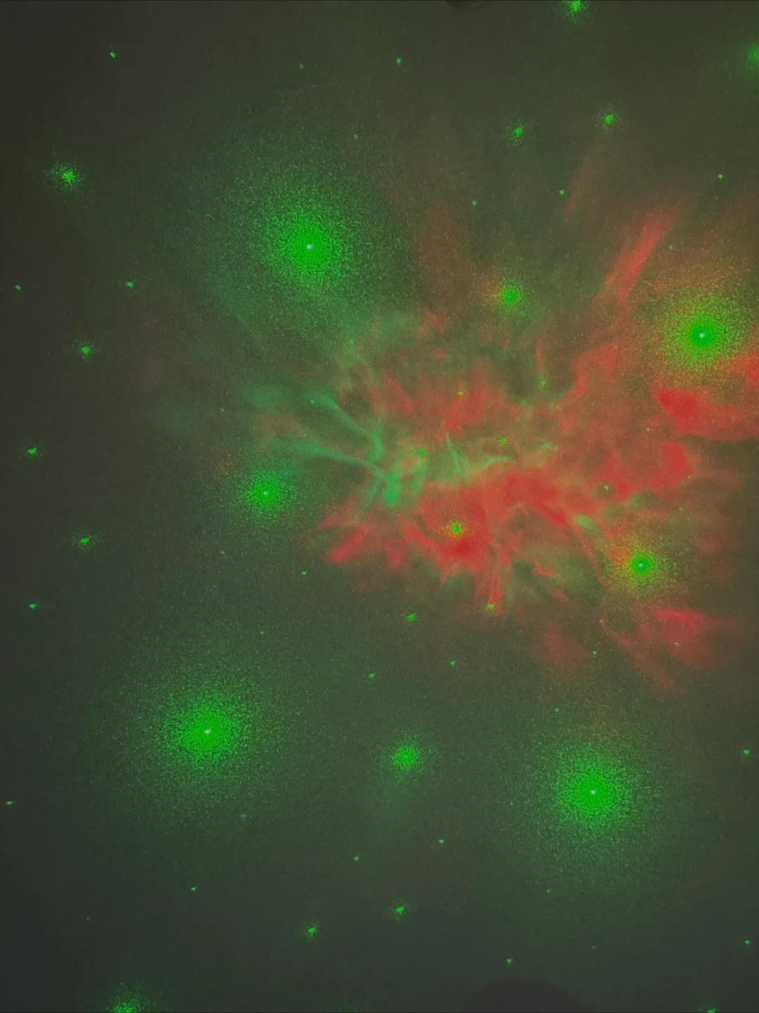 Astronaut Projector Light image indicator(10)