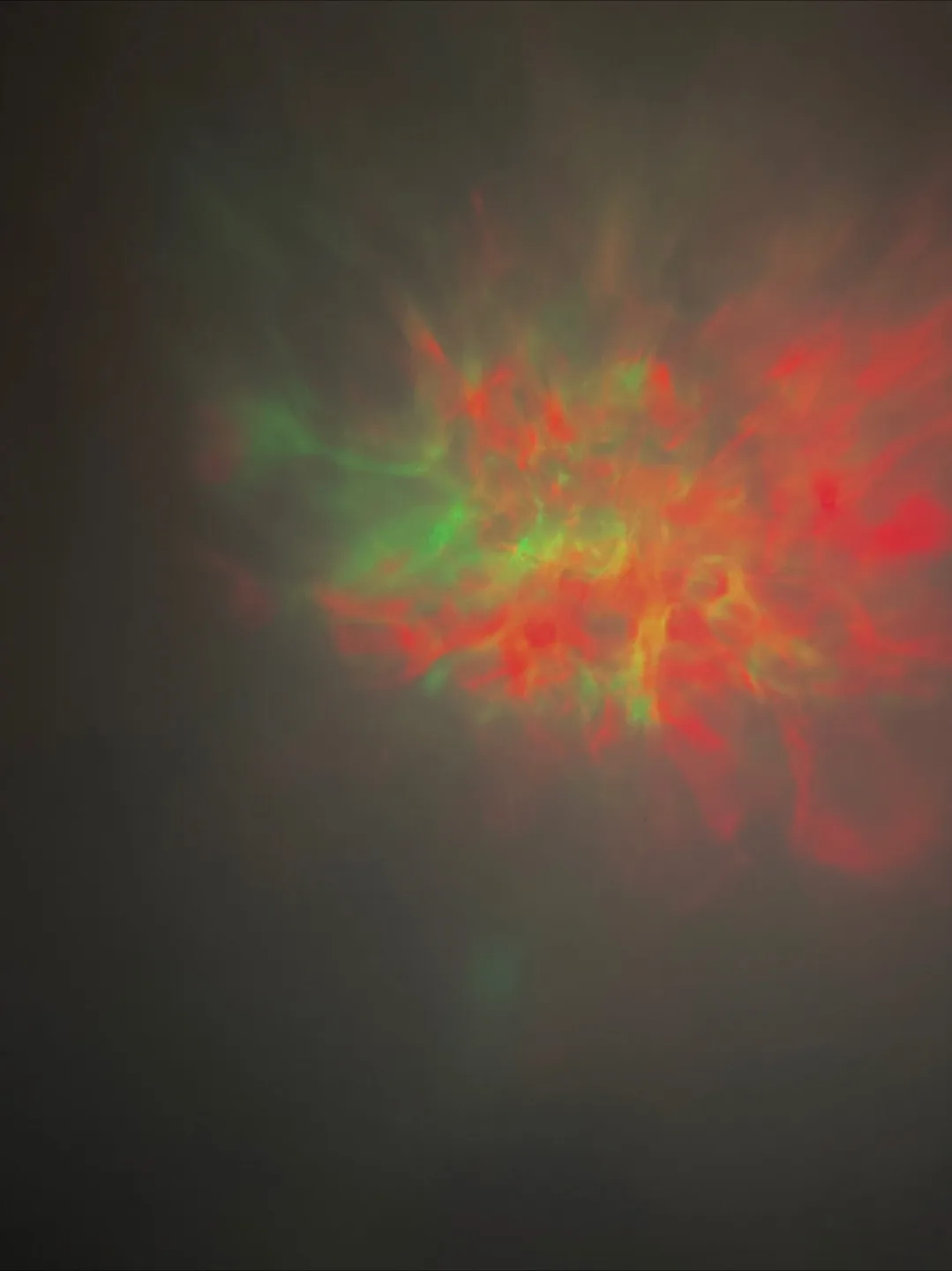 Astronaut Projector Light image indicator(6)