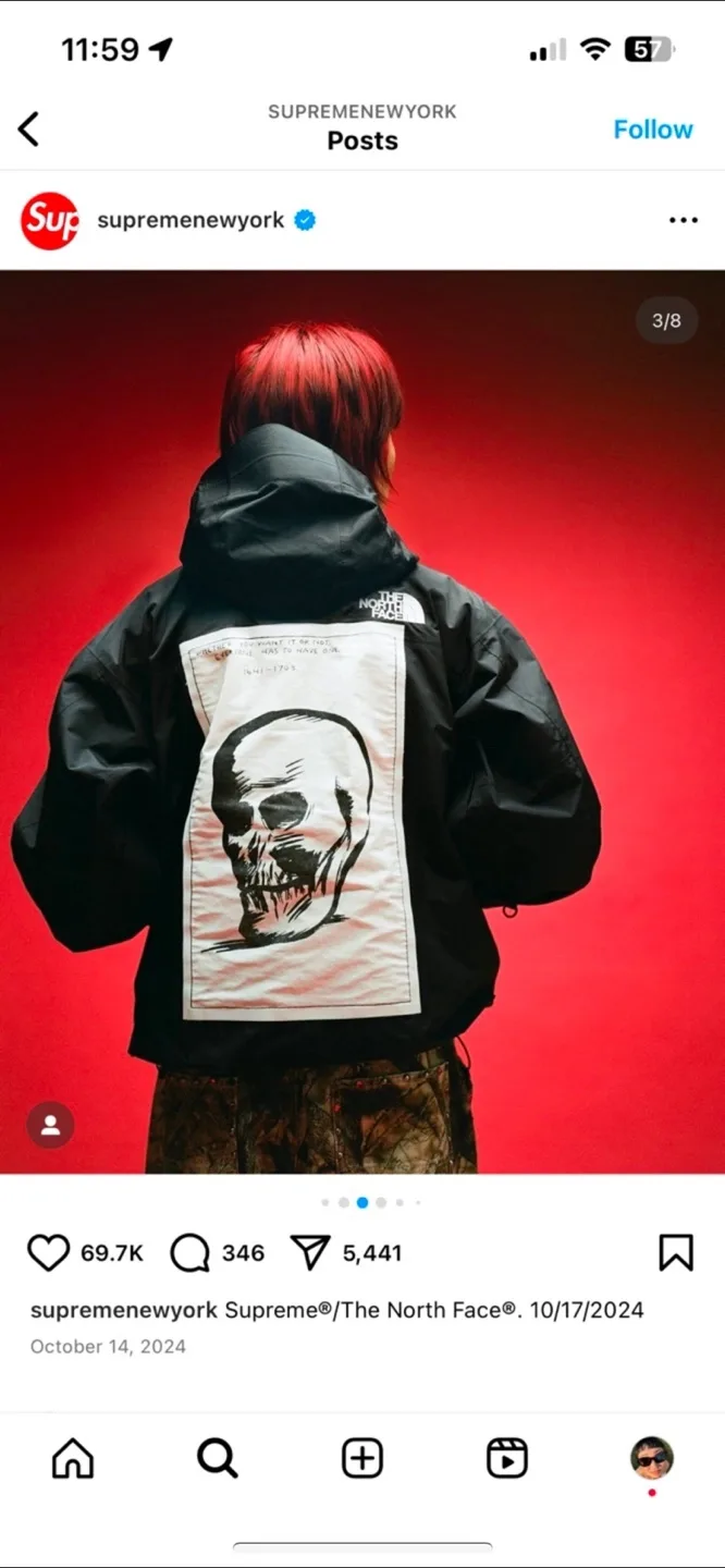 [NEW] Supreme x The North Face Mountain Jacket thumbnail