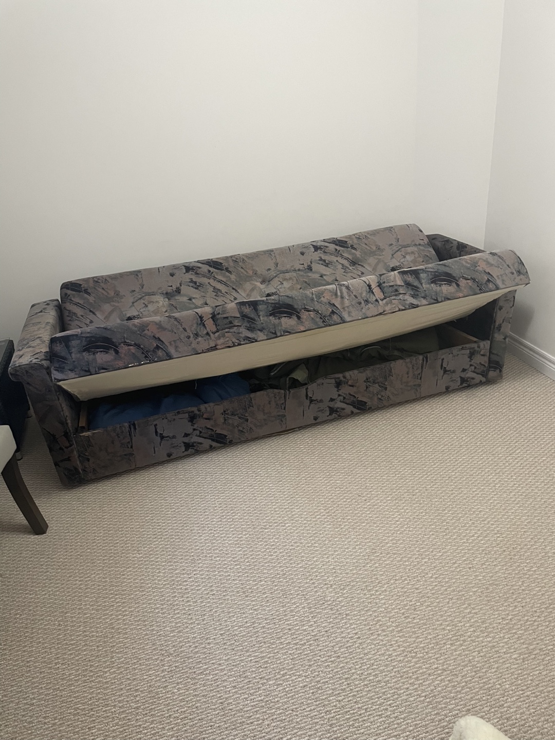 Pull-Out Sofa Bed with Storage - photo 3