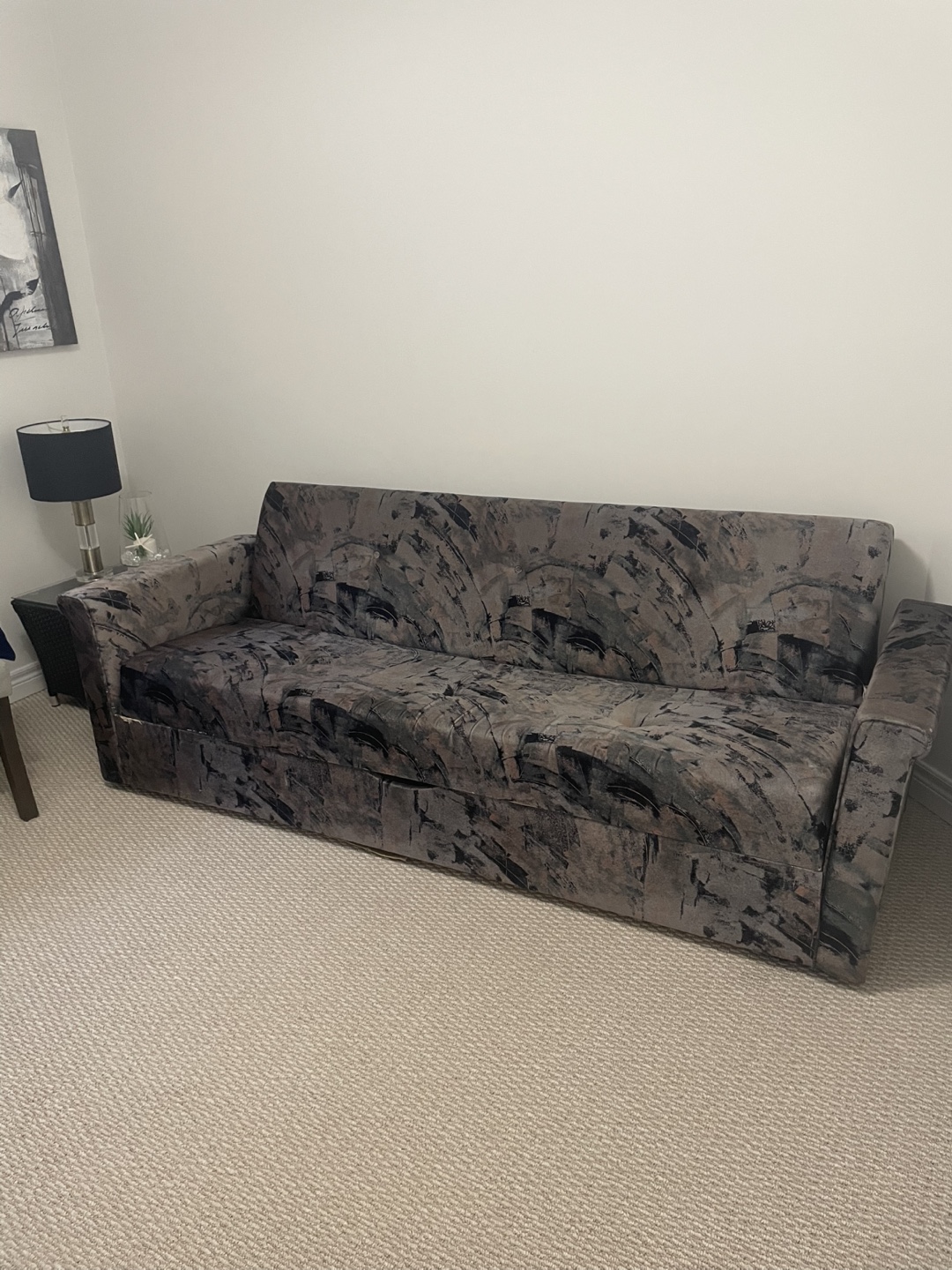 Pull-Out Sofa Bed with Storage - photo 2