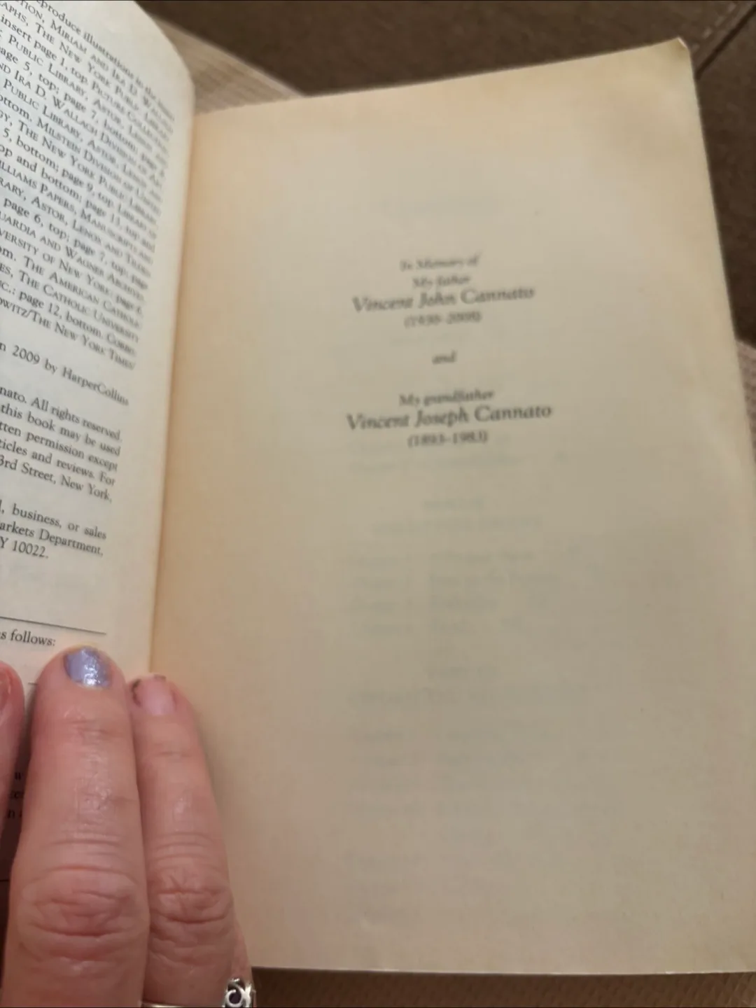 American Passage: The History of Ellis Island by Vincent Cannato image indicator(4)