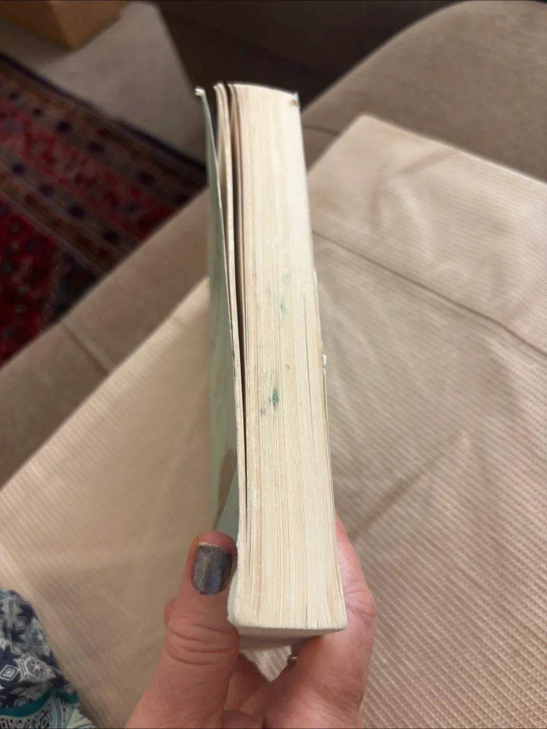 American Passage: The History of Ellis Island by Vincent Cannato image indicator(2)