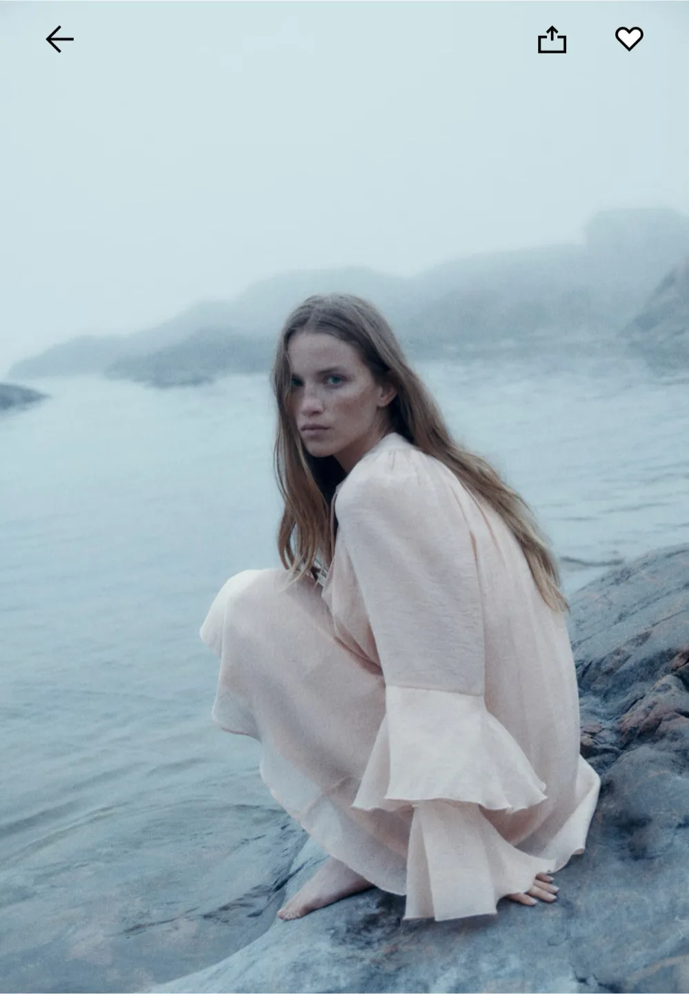 H&M Blouse with Bell Sleeves size L image indicator(6)