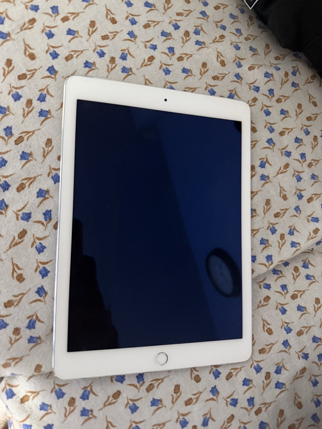 iPad Air 2 - Silver - photo 2