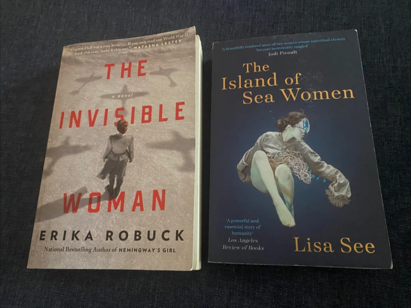 Two Novels: The Invisible Woman & Island of Sea Women thumbnail