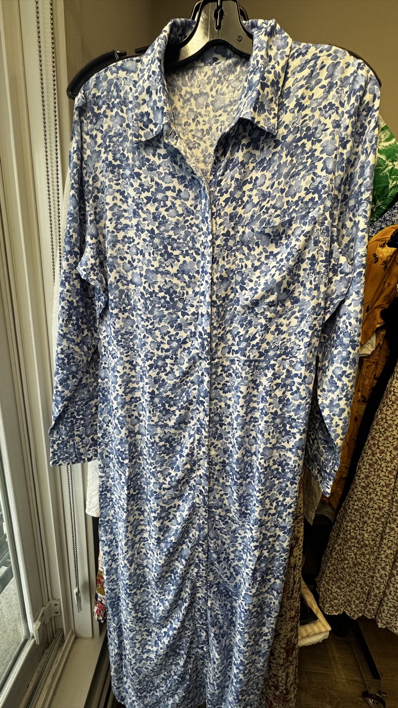 Floral Print Maxi Dress - Blue & White