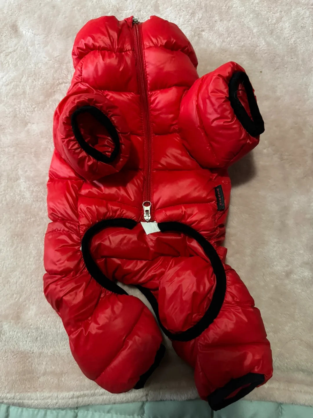 Dog Coats & Bitter Cherry Spray image indicator(3)