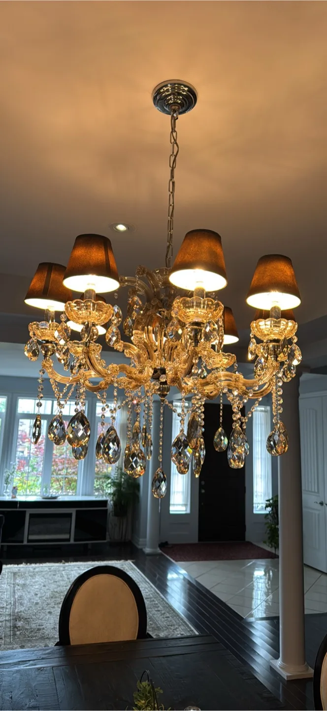 Elegant Pure Crystal Chandelier