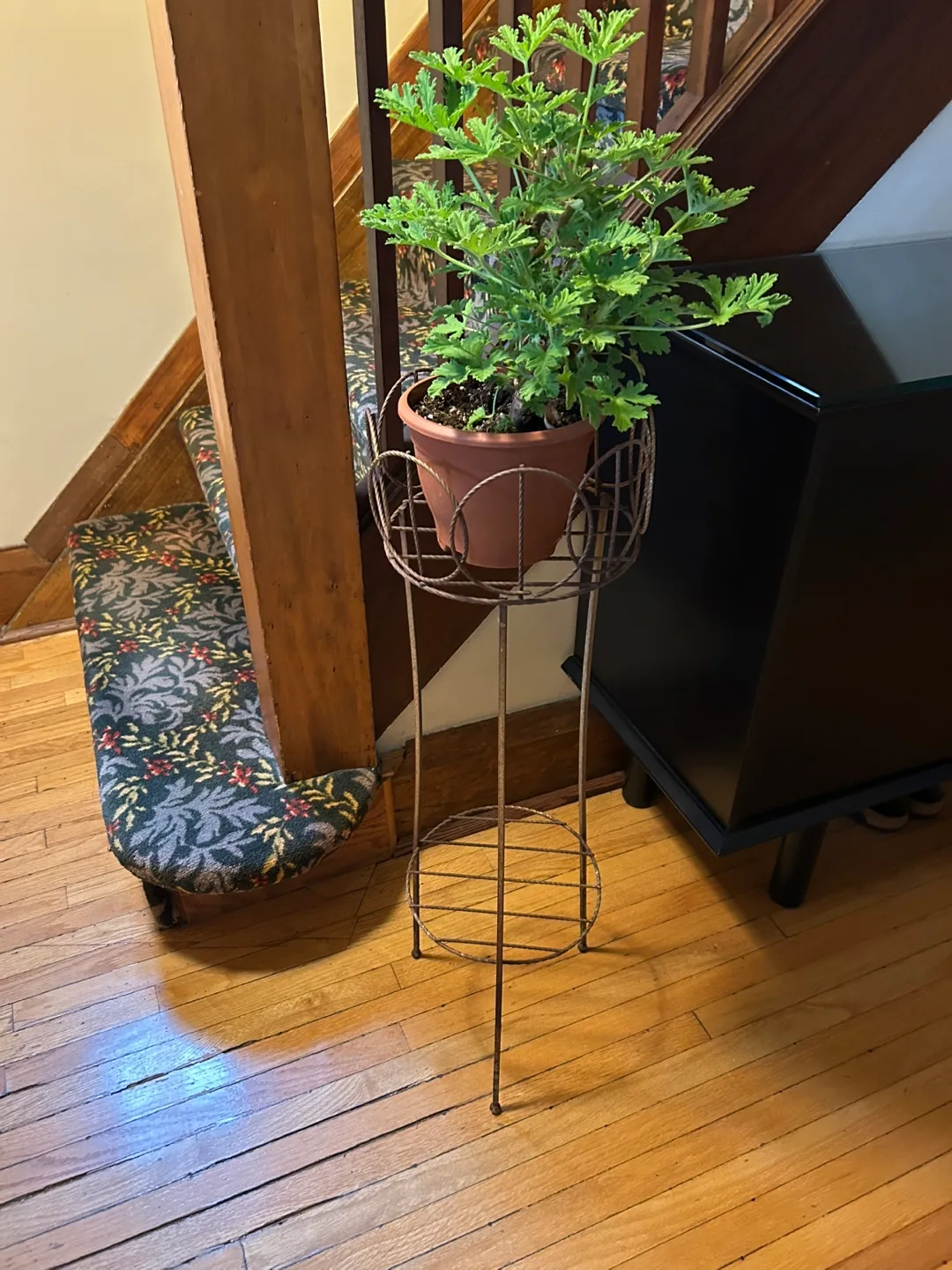 $20 MCM Vintage Gold Tone wrought iron Metal Plant Stand 32" image indicator(2)