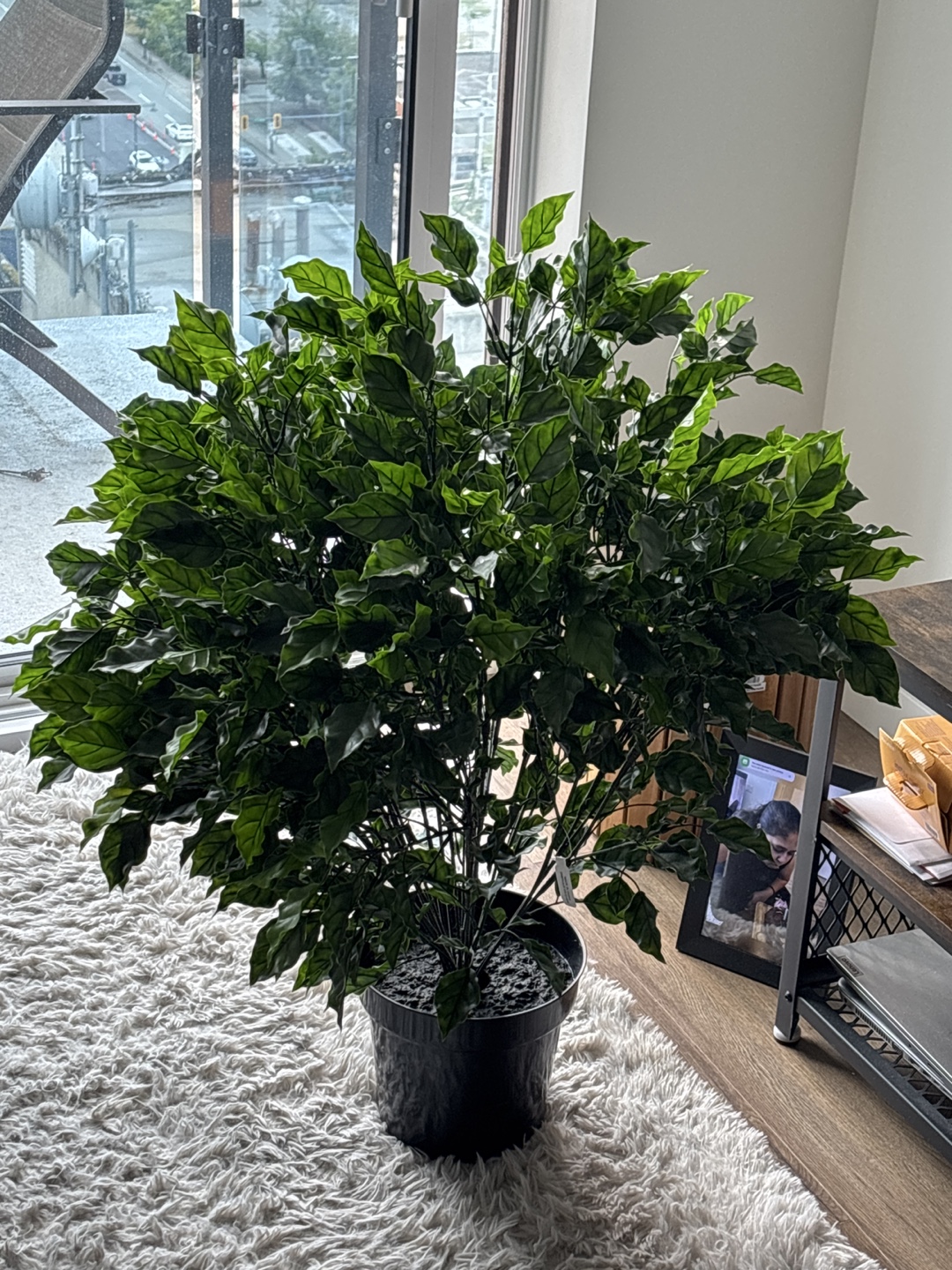 Artificial Potted Plant
