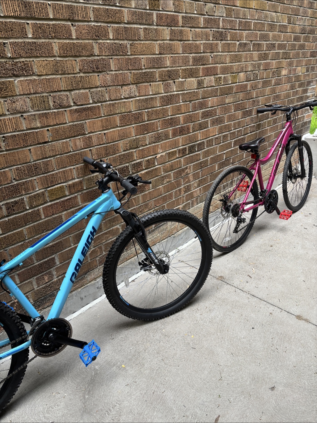 Raleigh Mountain Bike - Blue