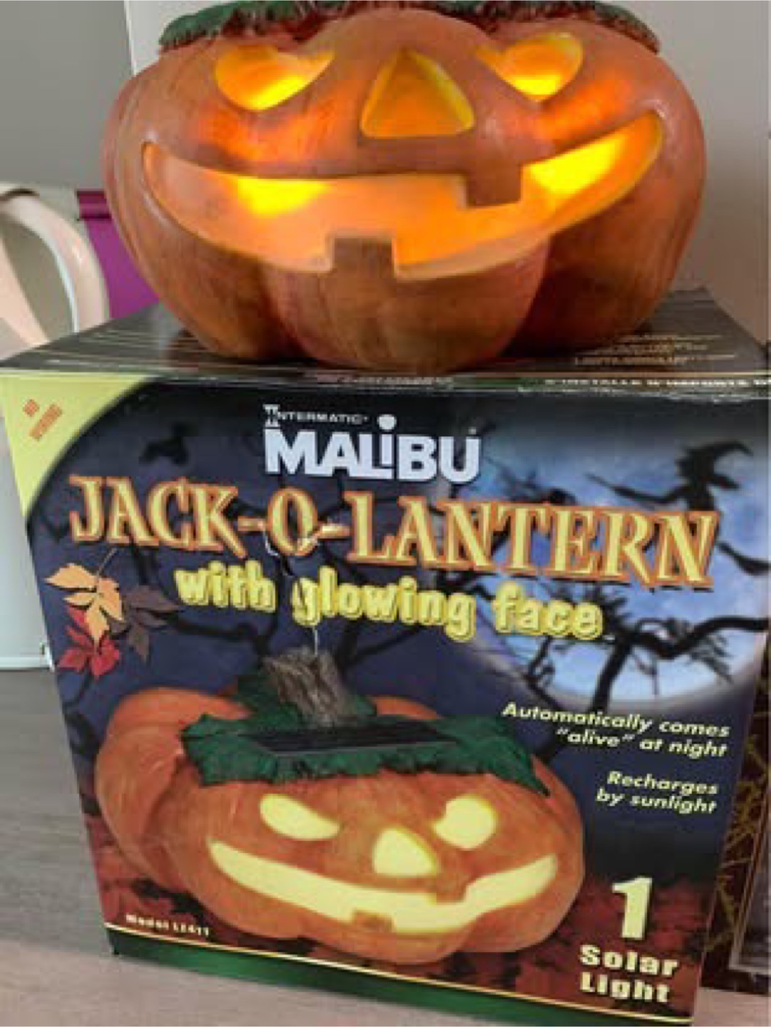 Malibu Solar Powered Scary Skull & Jack-O-Lantern - photo 4