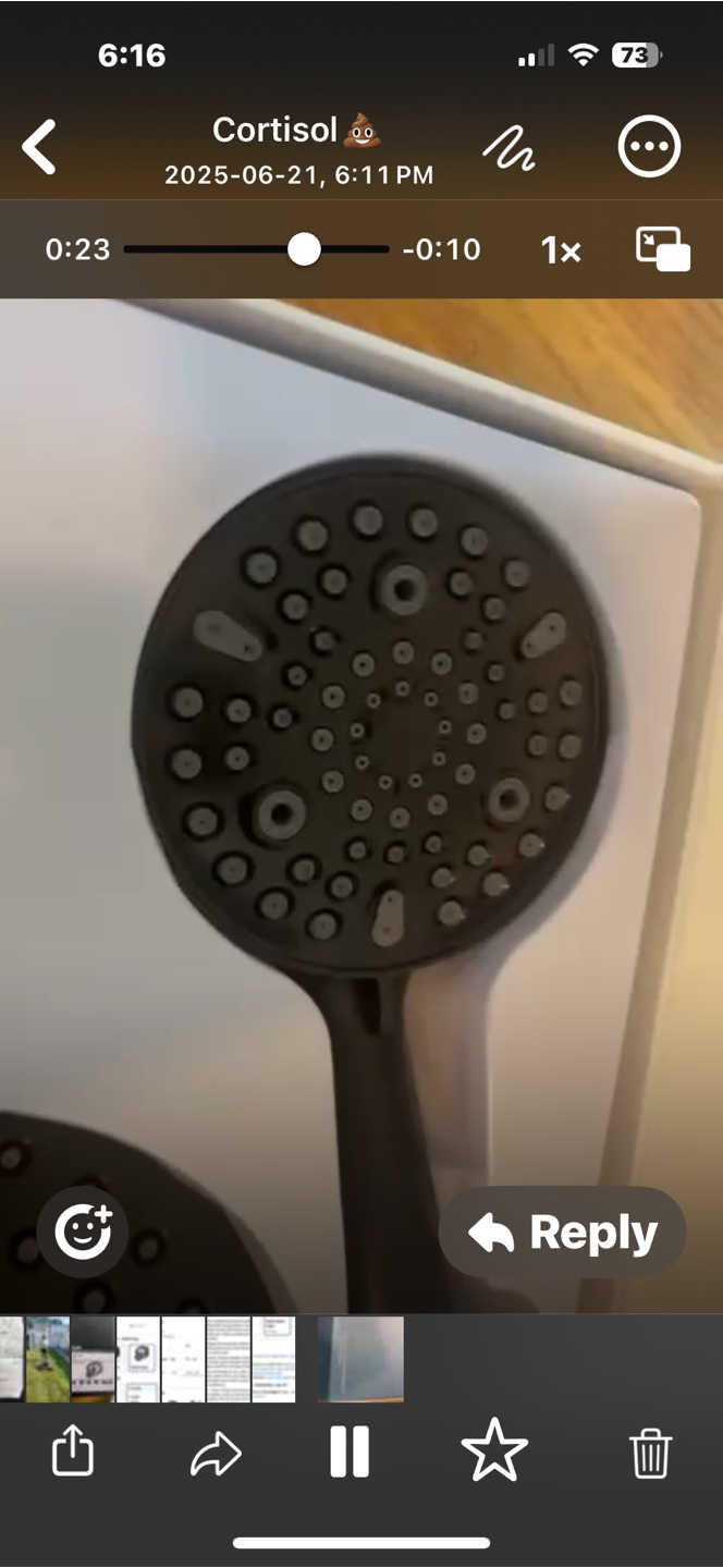 Matte Black Shower Head Set - photo 2