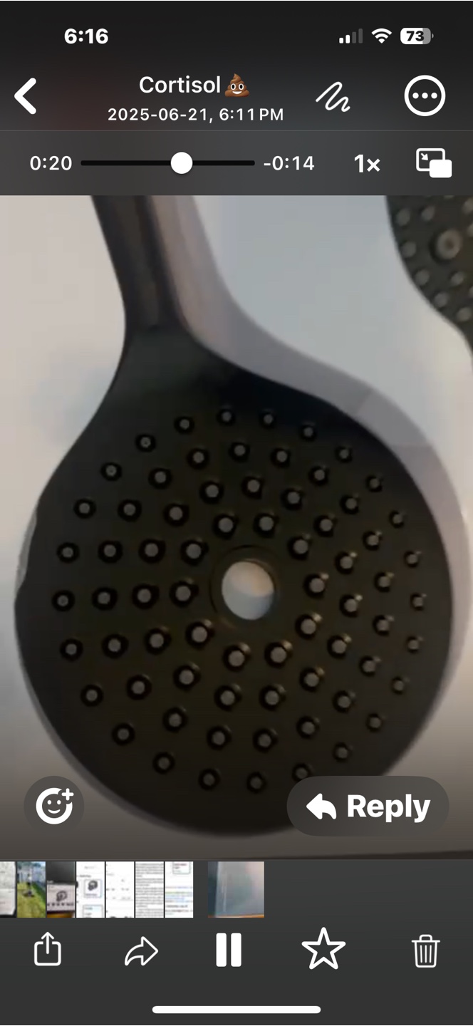 Matte Black Shower Head Set - photo 3