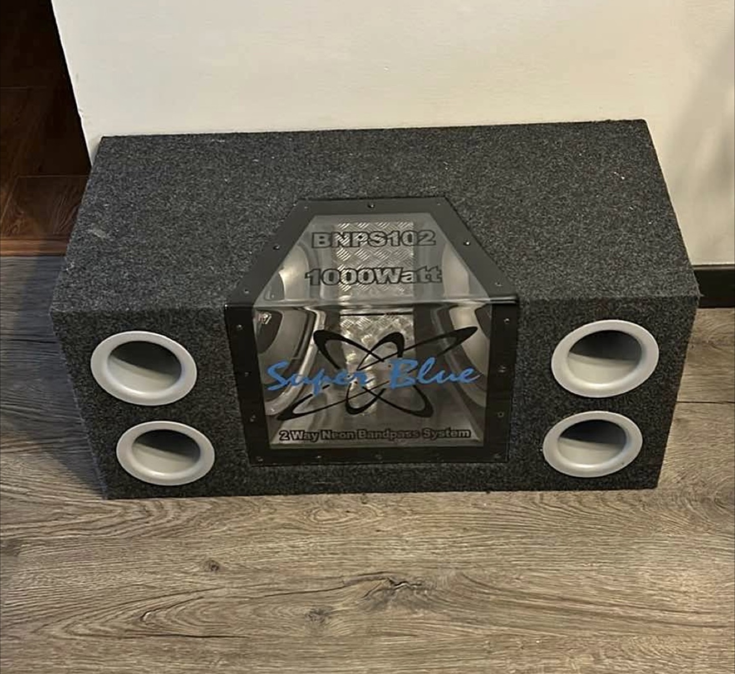 Pyramid BNPS102 1000W Subwoofer & Pioneer GM-H100 Amp
