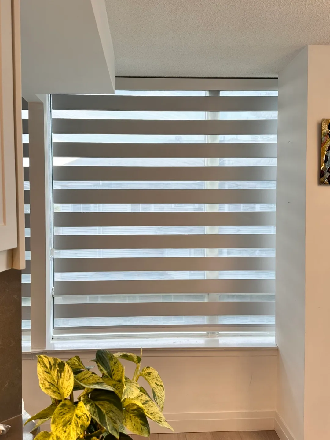 Zebra Blinds - Window Coverings thumbnail