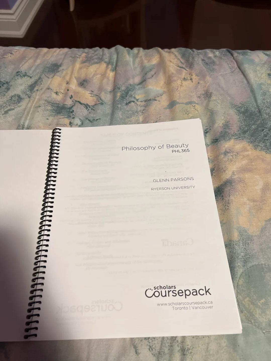 Philosophy of Beauty PHL365 Coursepack image indicator(2)