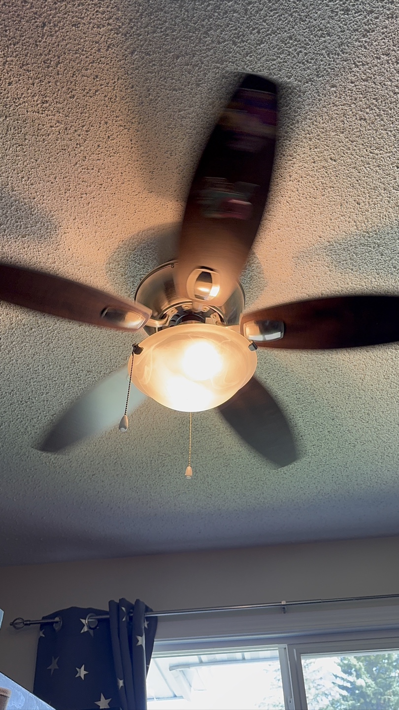 Ceiling Fan - reversible blades - photo 3