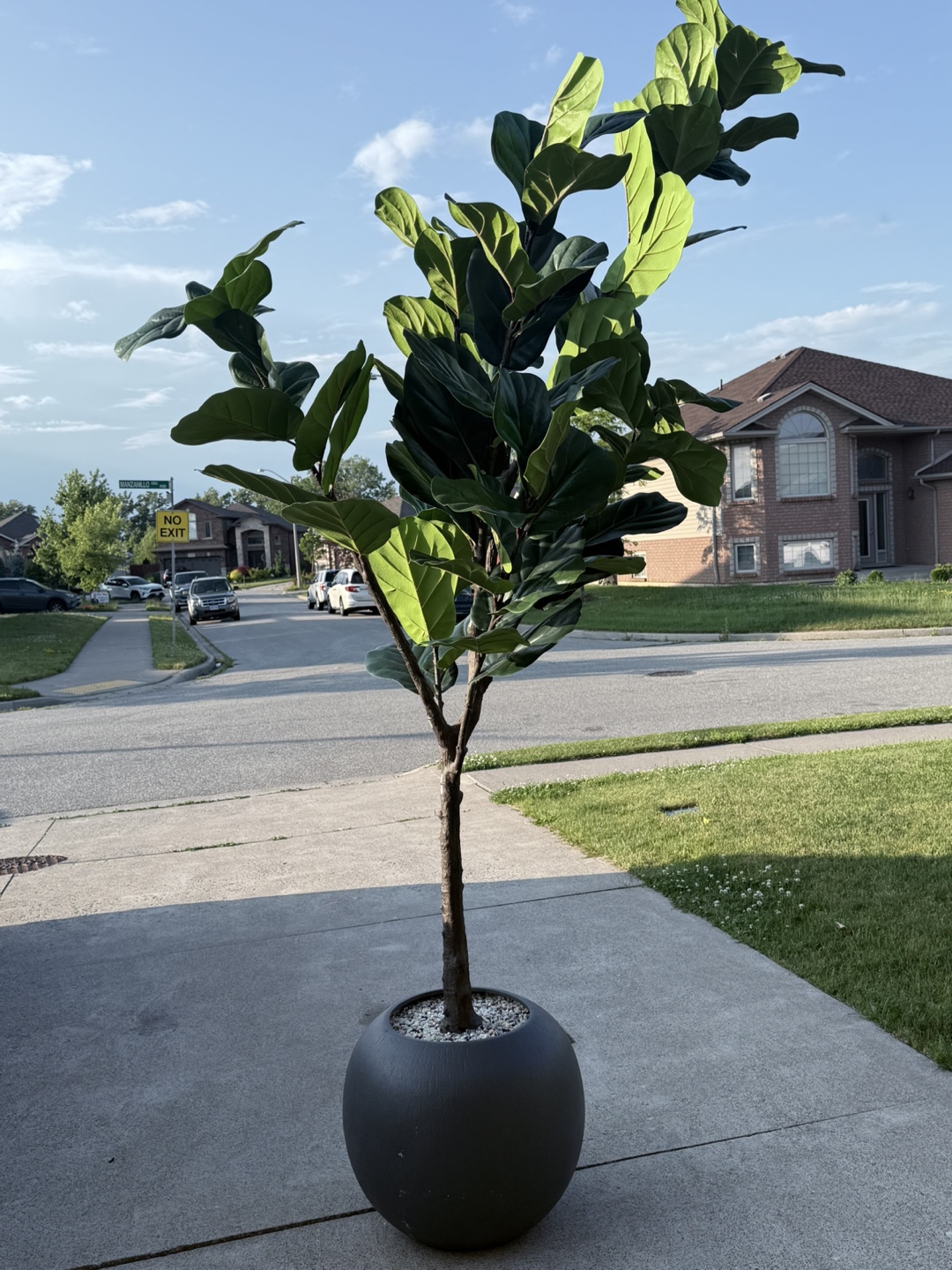 Faux Fiddle Leaf Fig Tree