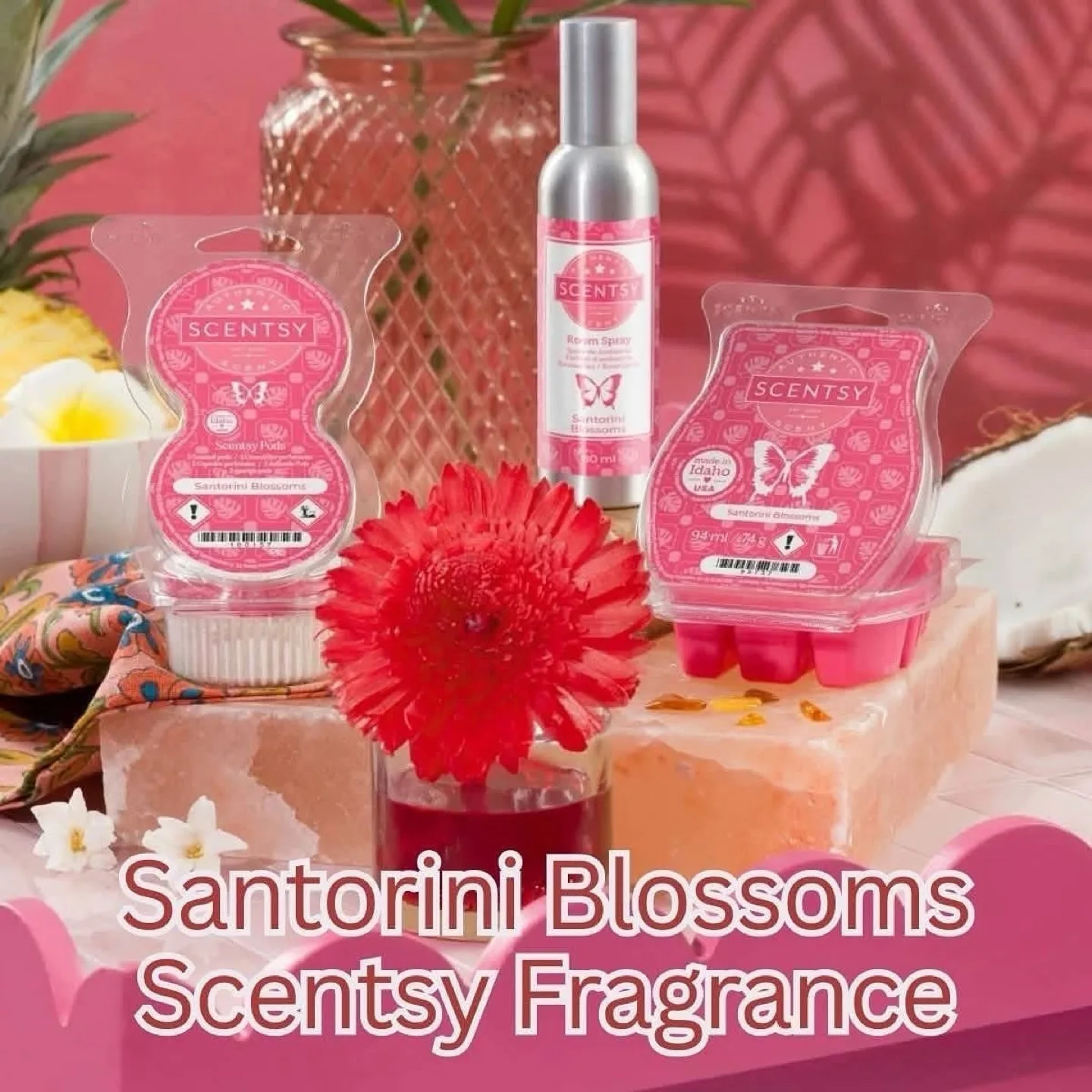 Scentsy Santorini Blossoms! thumbnail