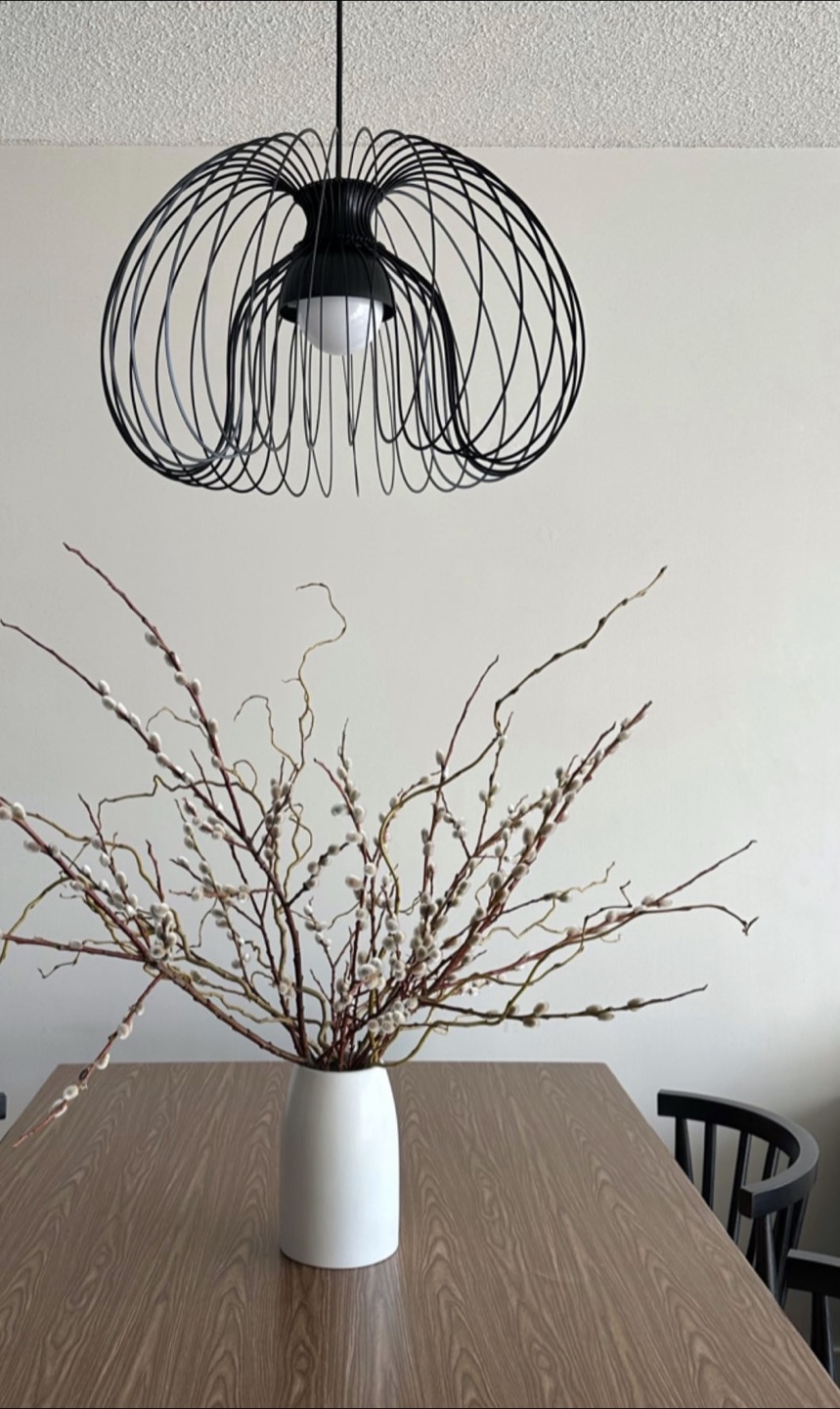 black light pendant + cord + light bulb
