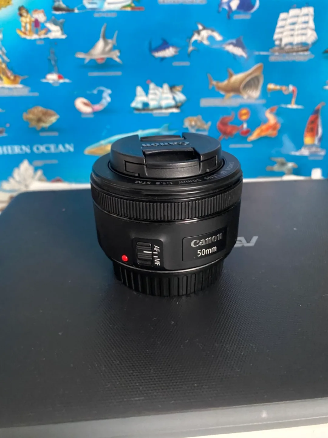 Canon EF 50mm F1.8 STM lens thumbnail