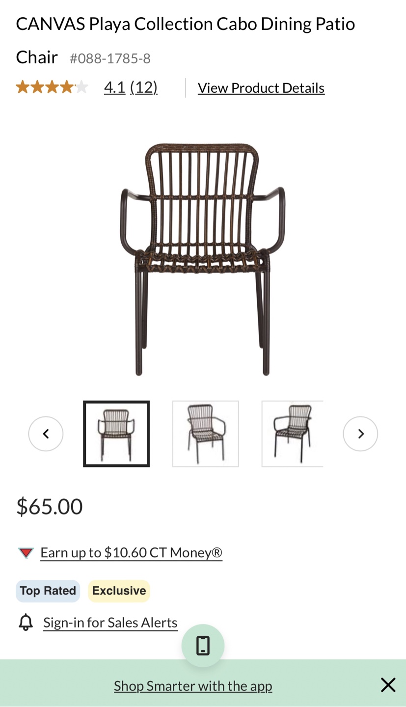 CANVAS Cabo Dining Patio Chairs (Set of 6)
