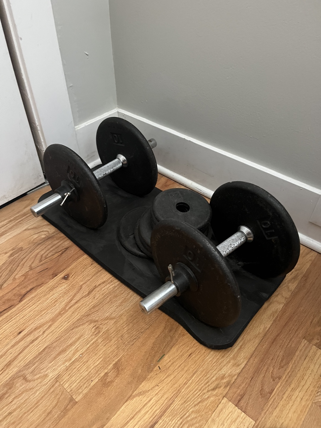 Dumbbell Set with Weights - adjustable