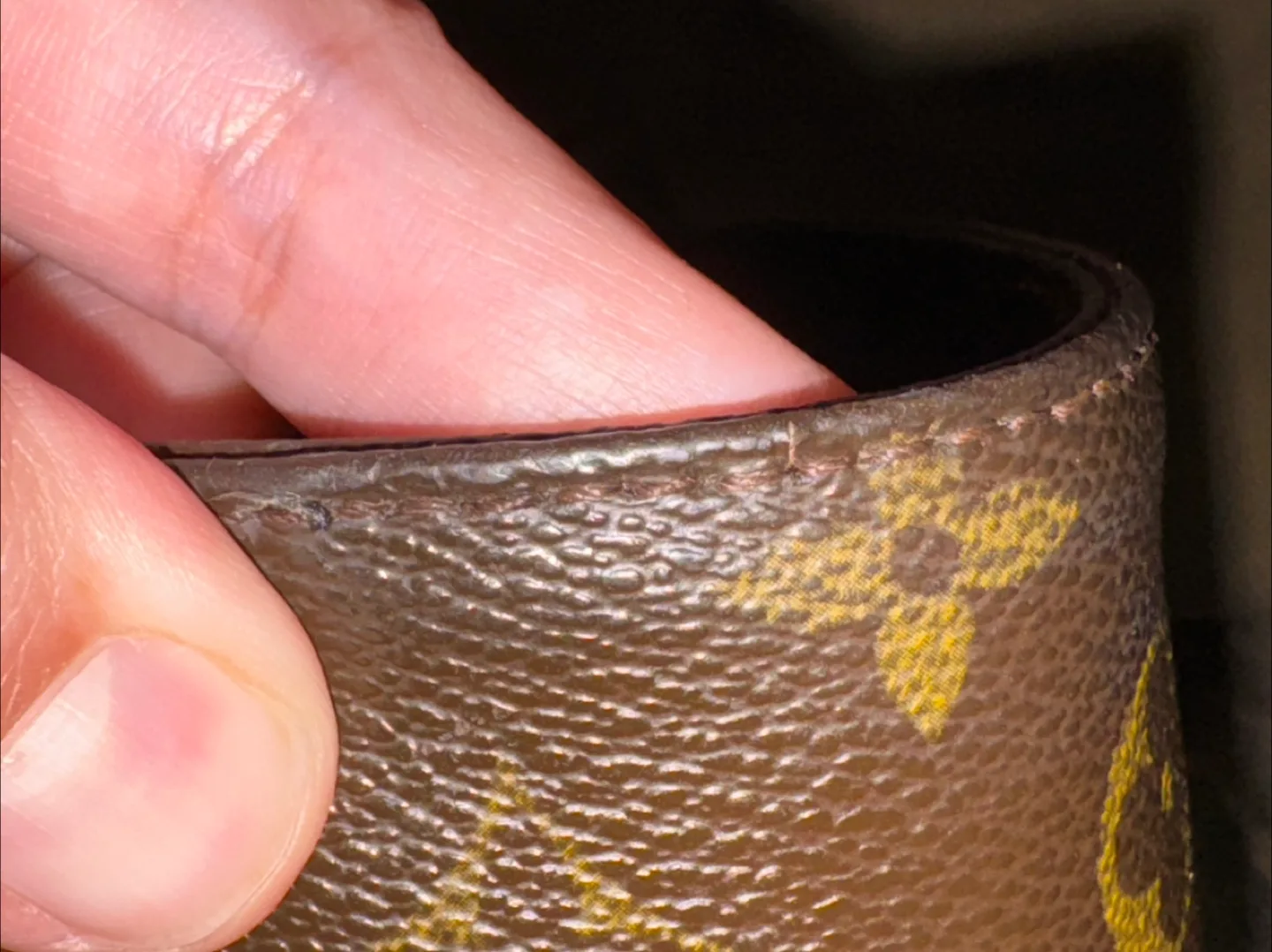 Louis Vuitton bag Cabas Alto image indicator(8)