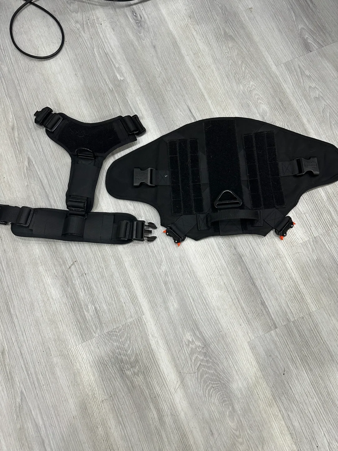 Black Dog Harness image indicator(2)