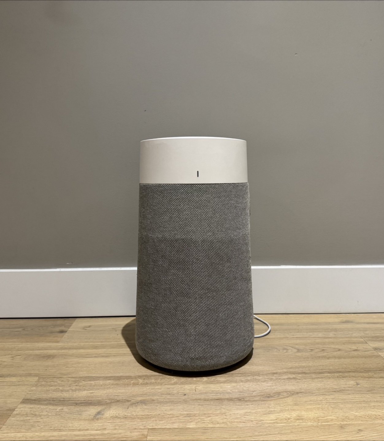 Blueair Air Purifier
