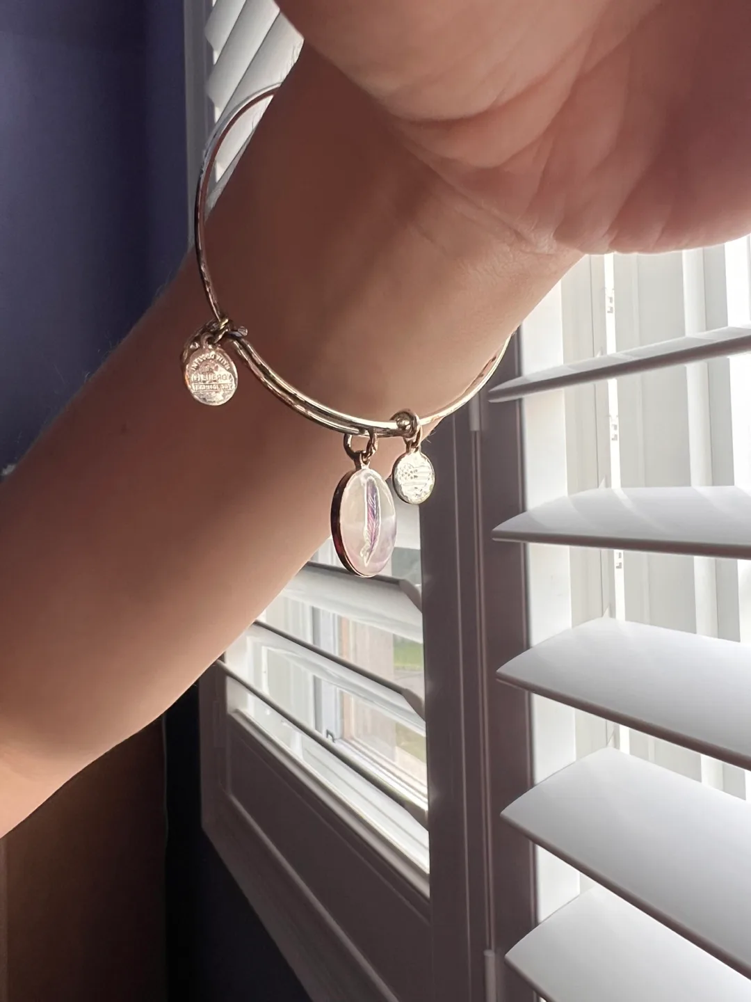 Feather Bangle - Alex and Ani image indicator(2)