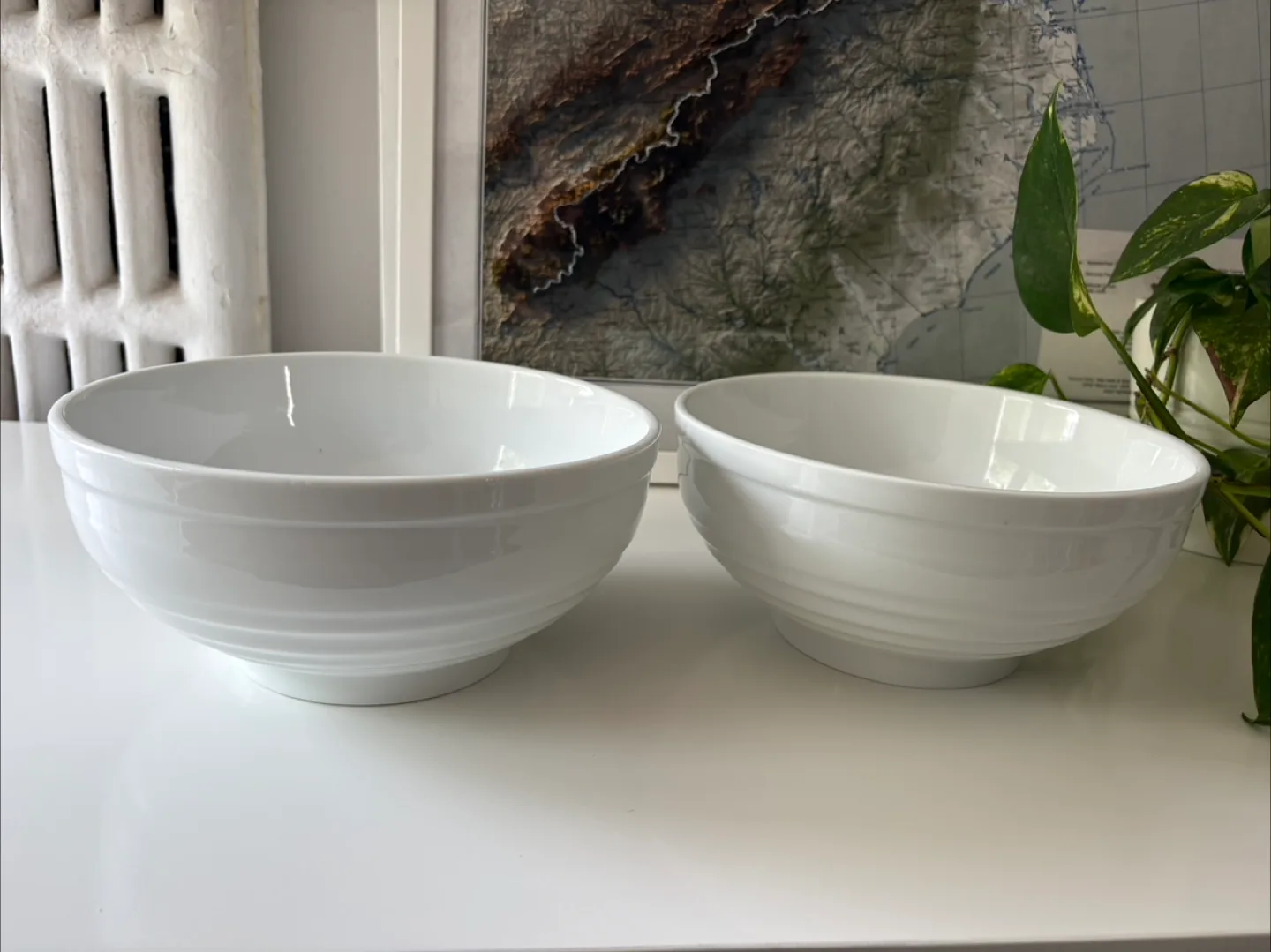 Pair of White Ceramic Bowls - 8 inch Diameter image indicator(4)