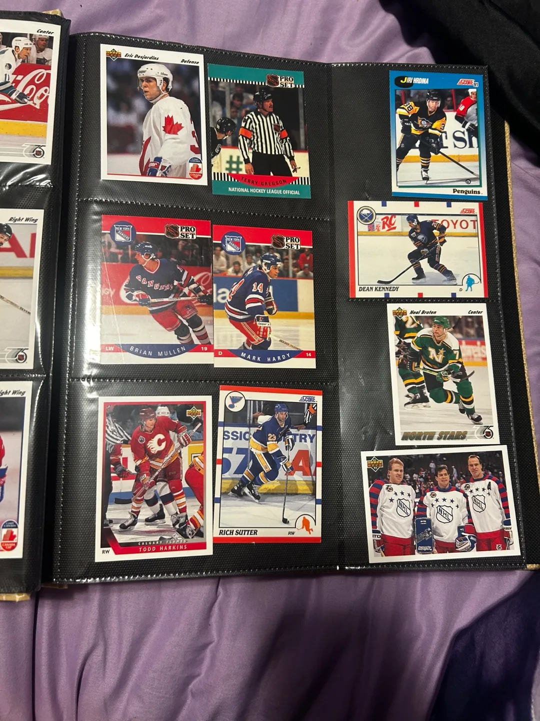 Hockey Trading Cards Collection 🧡 image indicator(9)