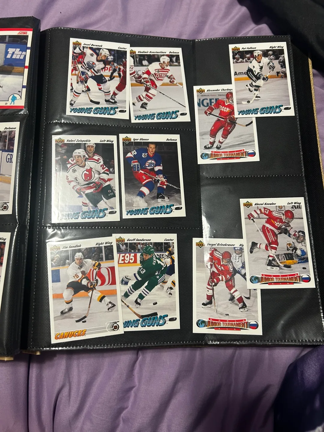 Hockey Trading Cards Collection 🧡 image indicator(8)